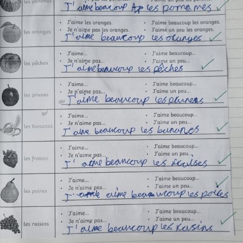 Year4French3