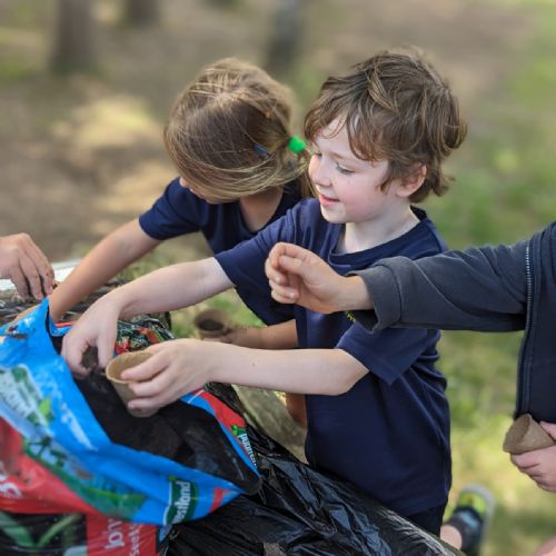 At Eco Club we've been planting some wild flower seeds