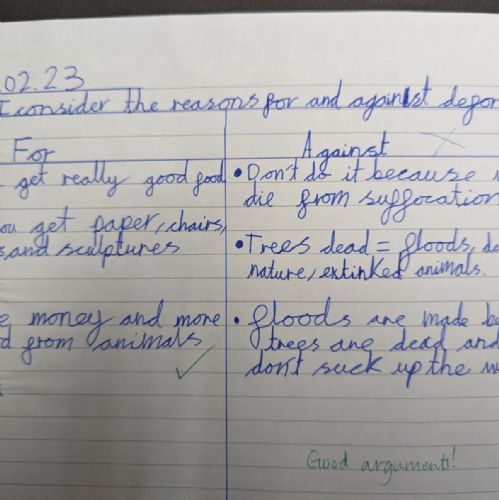 We learnt about deforestation. We debated for and against it!