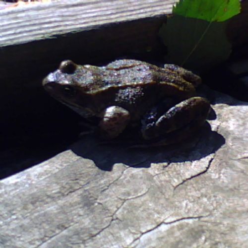 PICT0054