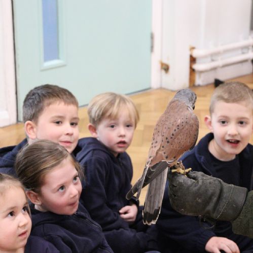 We met Buzbee the barn owl.