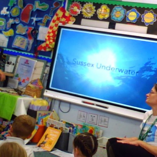 What is living in the seas of Sussex?