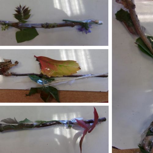 Year 2 made Journey Sticks by collecting items we found on a walk around the school grounds. The things we collected helped us to remember the route we took.