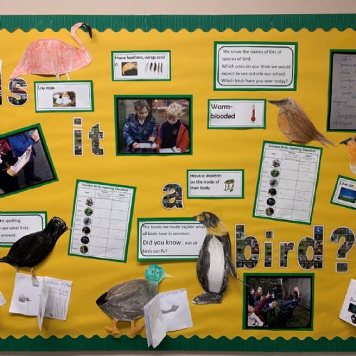Isitabird